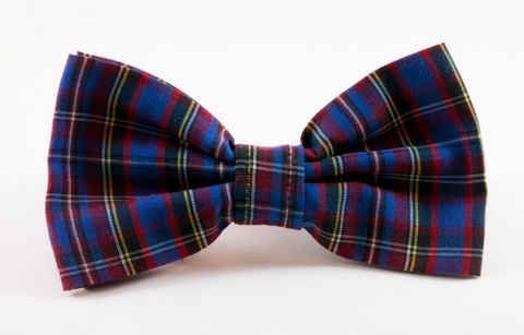 Blue Plaid School Boy Dog Bow Tie