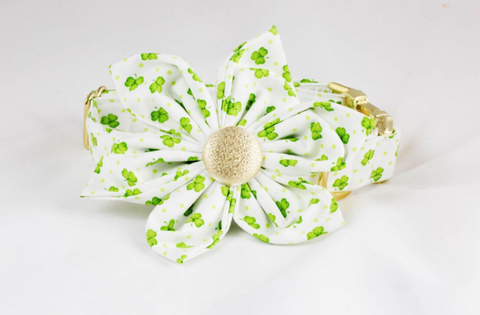 Luck of the Irish St. Patrick's Day Green and Gold Clover Girl Dog Flower Bow Tie Collar