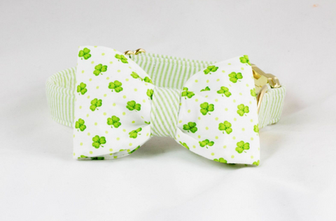Luck of the Irish St. Patrick's Day Green Seersucker Clover Bow Tie Dog Collar
