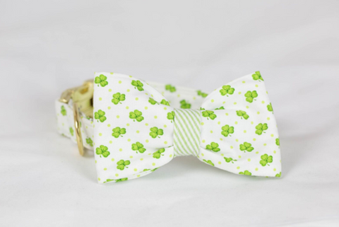 Luck of the Irish St. Patrick's Day Green Seersucker Clover Bow Tie Dog Collar