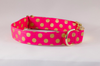 Valentine's Day Pink and Gold Polka Dot Girl Dog Flower Bow Tie Collar