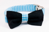 Carolina Panthers Black and Blue Dog Bow Tie Collar