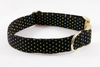 Black and Gold Polka Dot Dog Collar