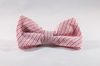 Preppy Pink and Orange Sherbet Seersucker Bow Tie Dog Collar