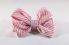 Preppy Pink and Orange Sherbet Seersucker Girl Bow Tie Dog Collar