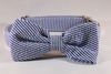 Preppy Blue Seersucker Bow Tie Dog Collar