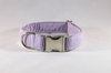 Preppy Purple Seersucker Dog Collar