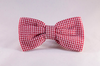 Preppy Red Gingham Dog Bow Tie