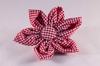 Preppy Red Gingham Girl Dog Flower Bow Tie Collar