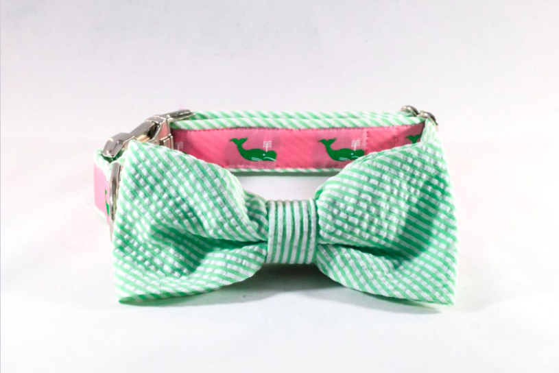 Seersucker Pink and Green Nantucket Whale Bow Tie Dog Collar