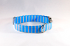Preppy Aqua and Coral Seaside Stripes Dog Collar