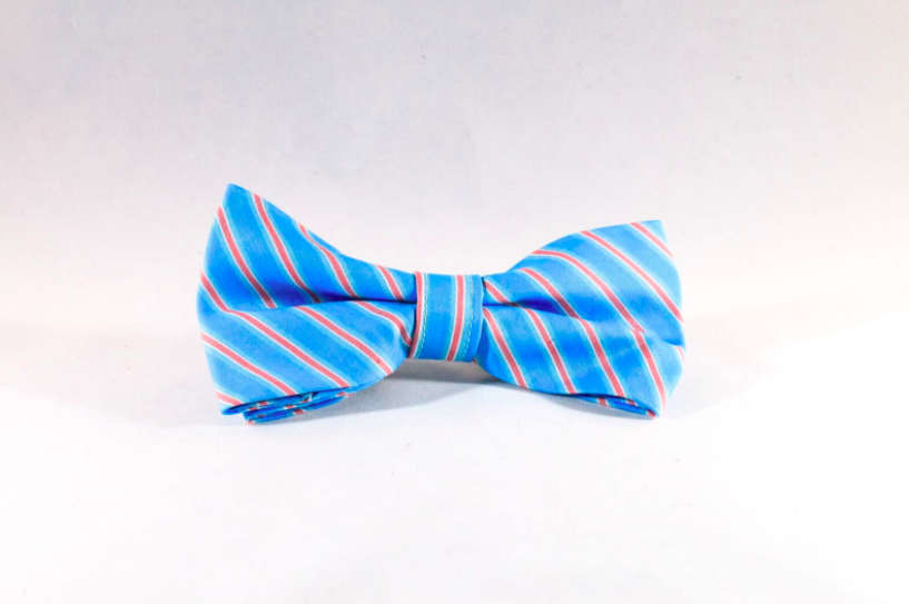 Preppy Aqua and Coral Seaside Stripes Dog Bow Tie