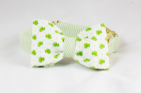 Preppy St. Patrick's Day Luck of the Irish Clover Bow Tie Dog Collar