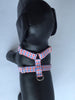 Preppy Red White and Blue Gingham Dog Harness