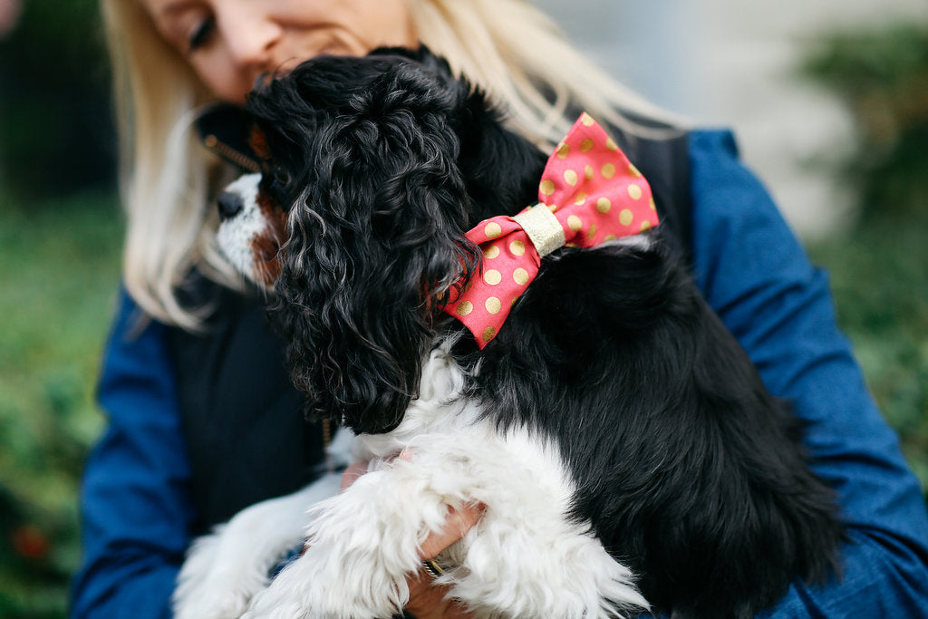 Valentine's Day Pink and Gold Polka Dot Dog Bow Tie Collar